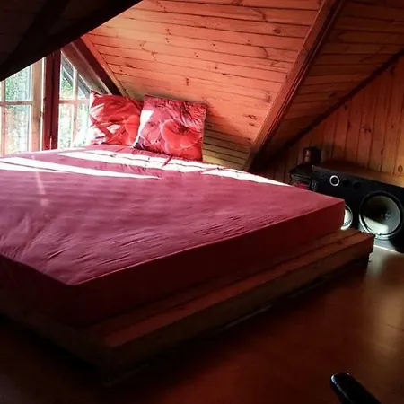Kuleszowka Na Kaszubach Z Balia Ogrodowa Villa Gowidlino