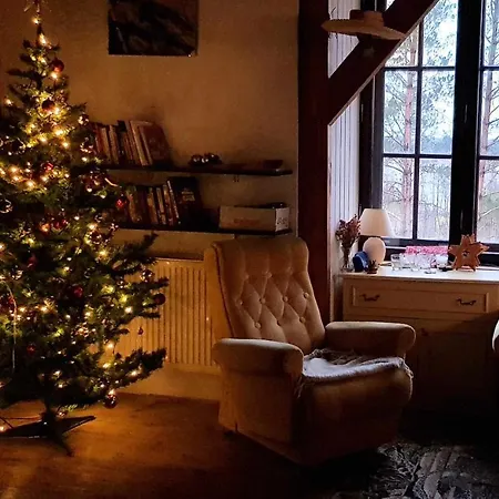 Kuleszowka Na Kaszubach Z Balia Ogrodowa Βίλα *