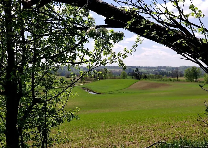 Kuleszowka Na Kaszubach Z Balia Ogrodowa ヴィラ Gowidlino