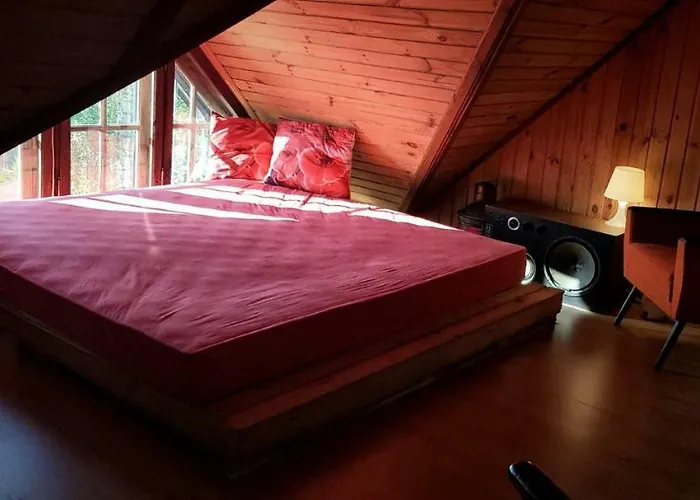 Kuleszowka Na Kaszubach Z Balia Ogrodowa ヴィラ Gowidlino